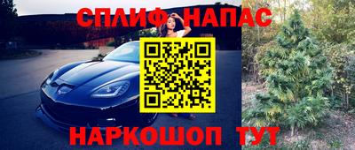 apvp Краснознаменск