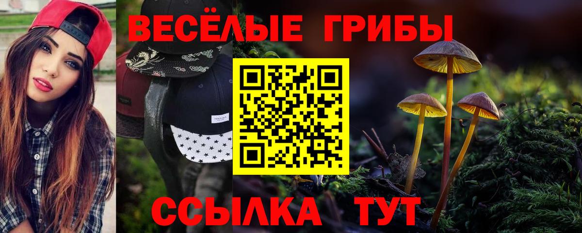 Галлюциногенные грибы ЛСД Кировск