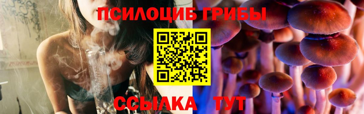 Кировск  Псилоцибиновые грибы ЛСД  Вход с VPN  Галлюциногенные грибы мухоморы 